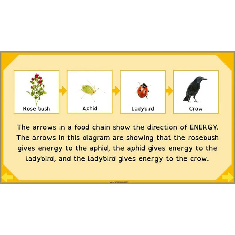 Eating and Digestion - Image 31