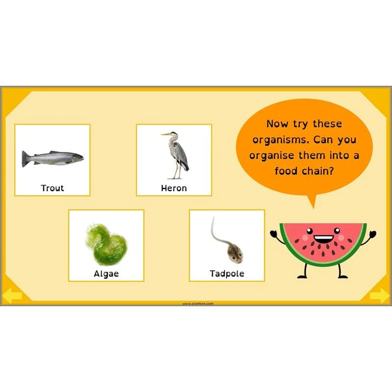 Eating and Digestion - Image 4