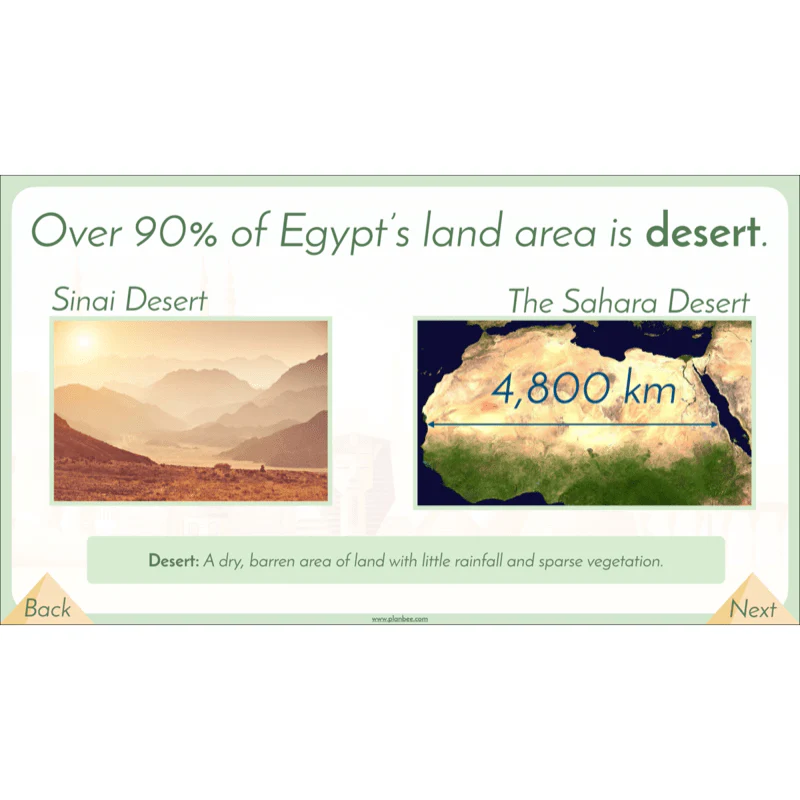 Egypt Today - Image 21