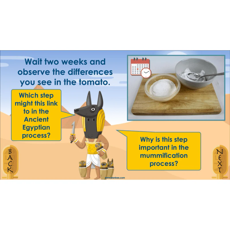 Explanation Texts: How to Mummify a Tomato - Image 20