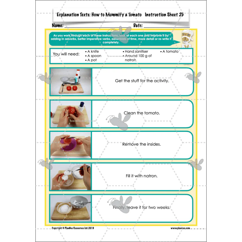 Explanation Texts: How to Mummify a Tomato - Image 29