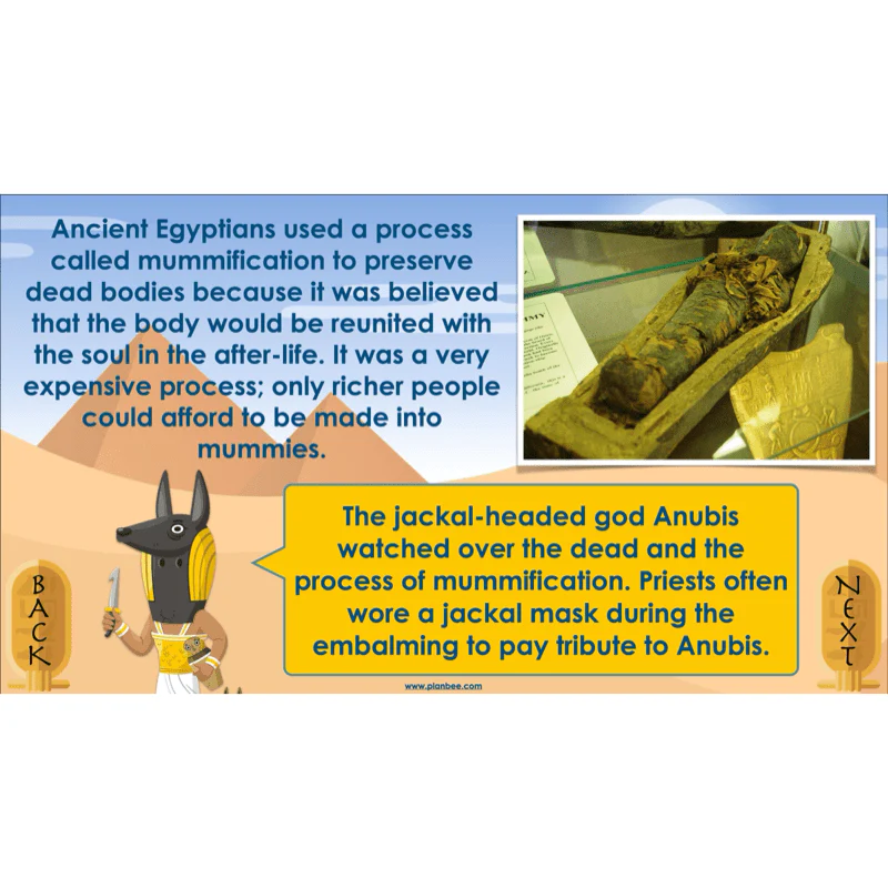 Explanation Texts: How to Mummify a Tomato - Image 3