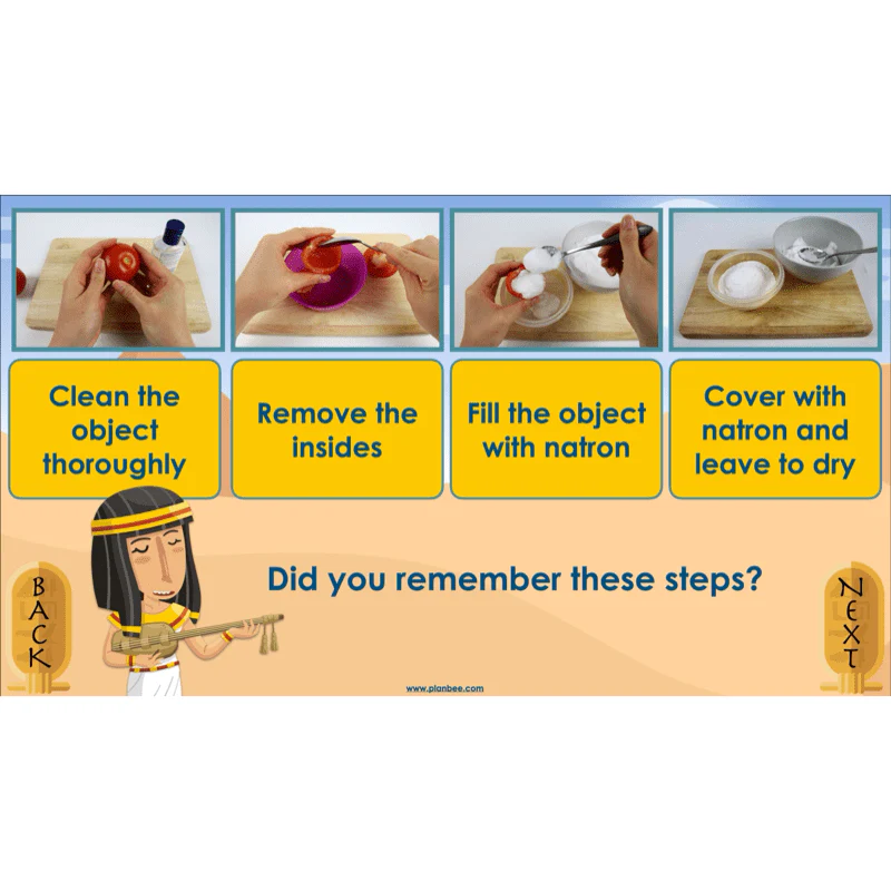 Explanation Texts: How to Mummify a Tomato - Image 42