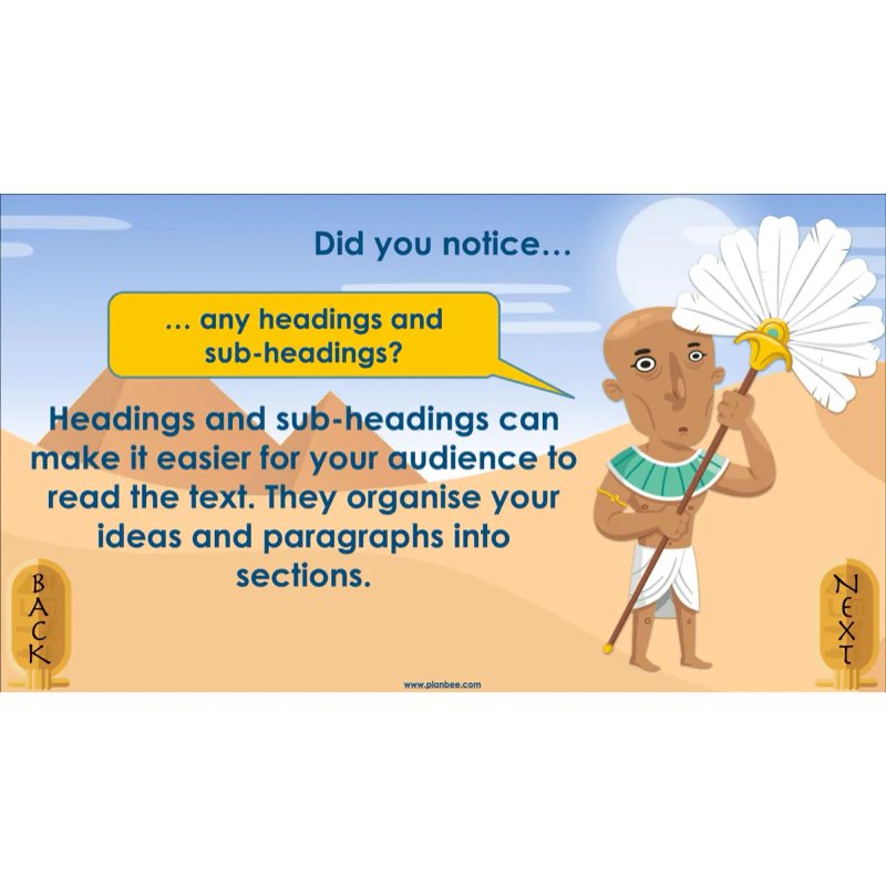 Explanation Texts: How to Mummify a Tomato - Image 7