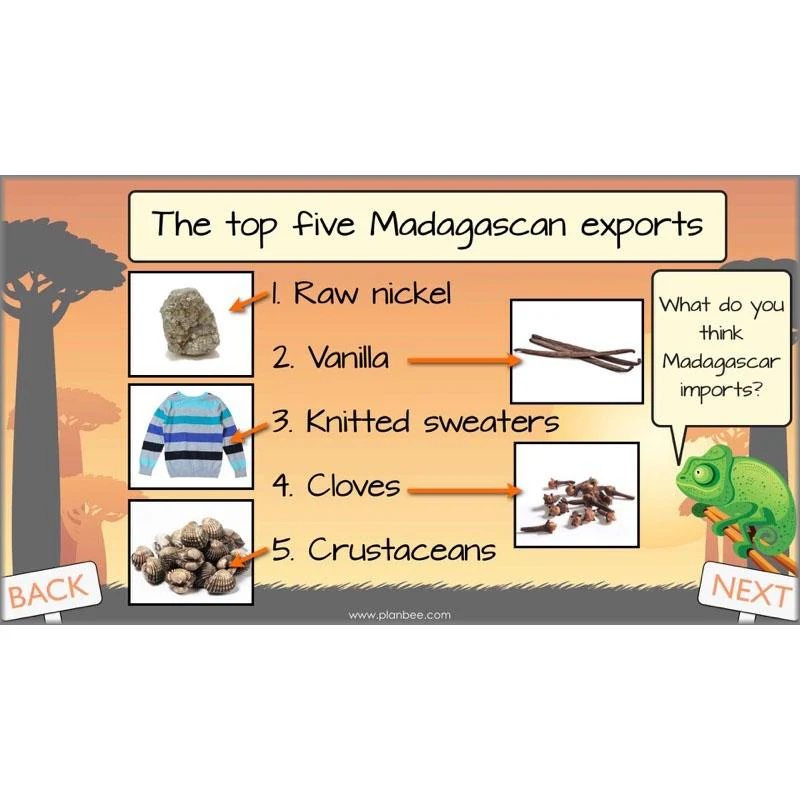 Exploring Madagascar - Image 7
