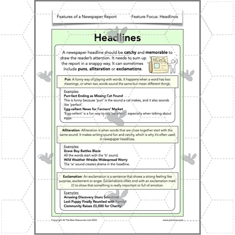 Features of a Newspaper Report KS2 - Image 10