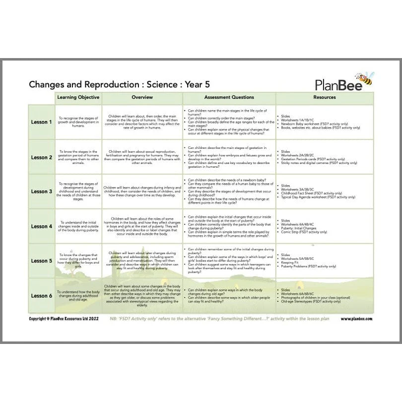 Feelings and Emotions Topic Bundle - Image 6