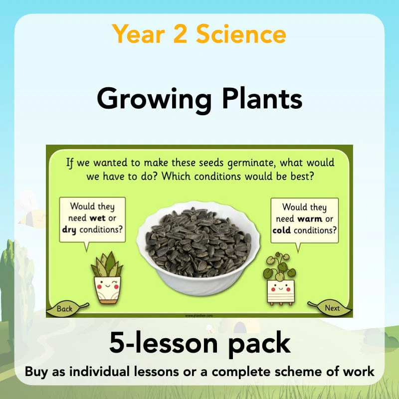Growing Plants