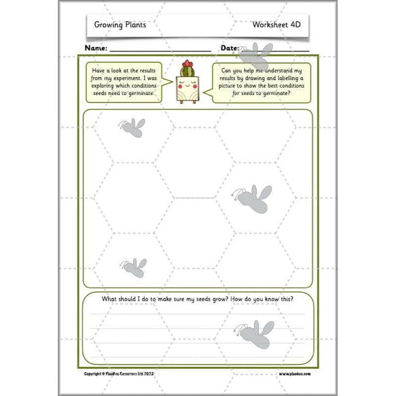 Growing Plants - Image 12