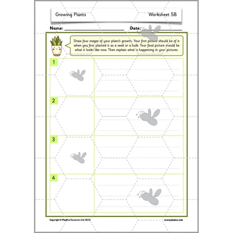 Growing Plants - Image 13