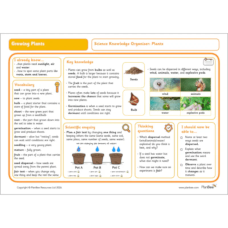 Growing Plants - Image 17