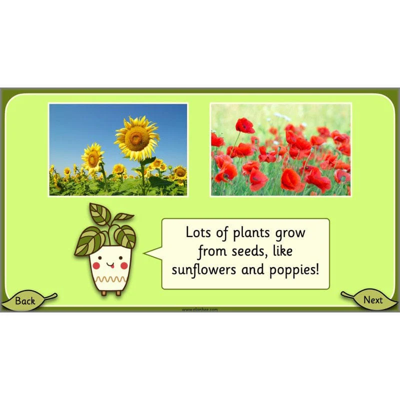 Growing Plants - Image 19