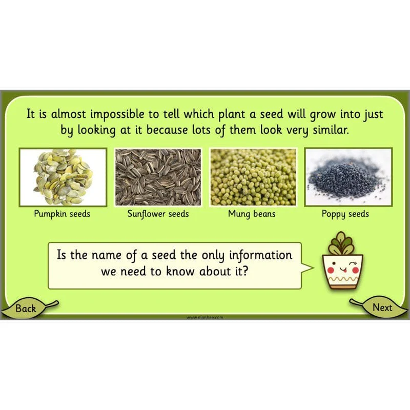 Growing Plants - Image 20