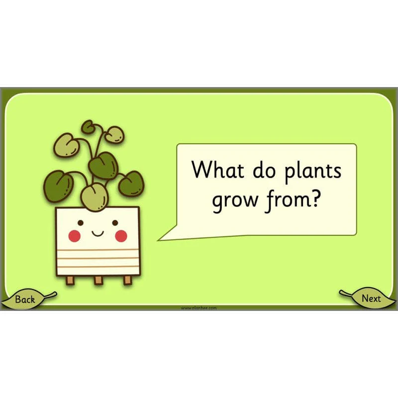 Growing Plants - Image 26
