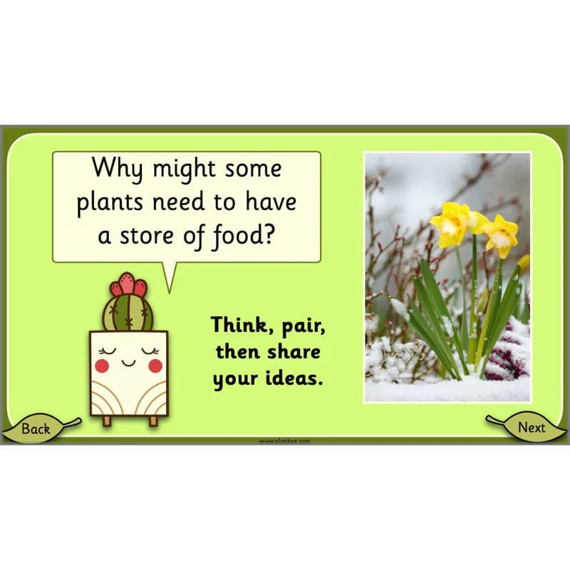 Growing Plants - Image 27