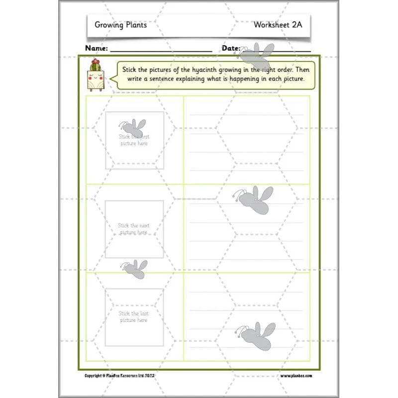 Growing Plants - Image 30