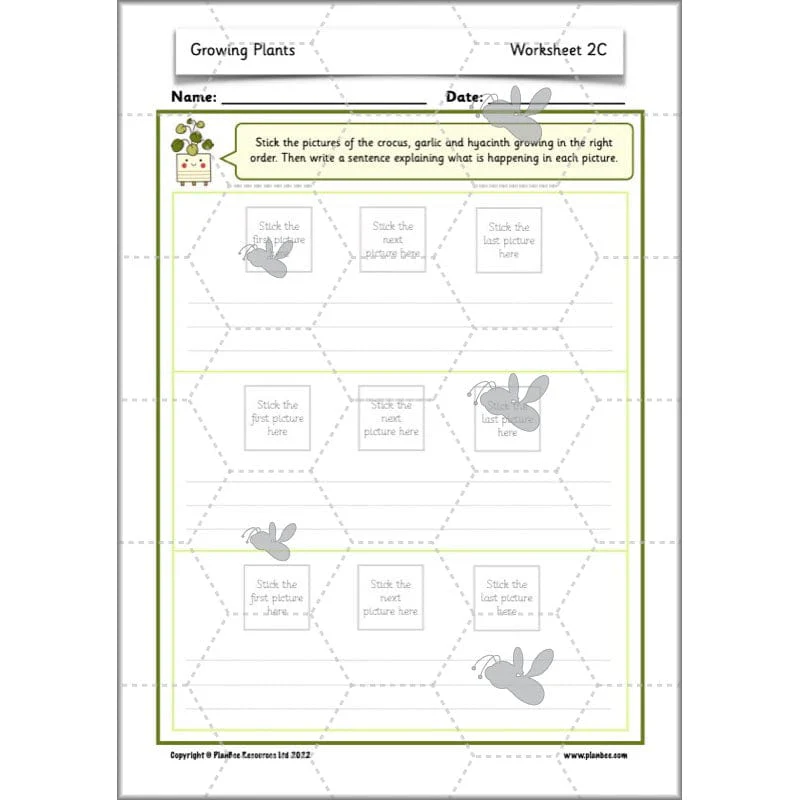 Growing Plants - Image 31