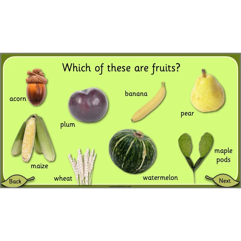 Growing Plants - Image 34