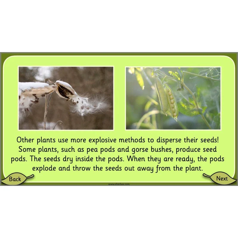 Growing Plants - Image 37