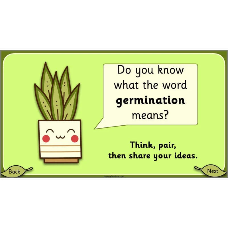 Growing Plants - Image 42