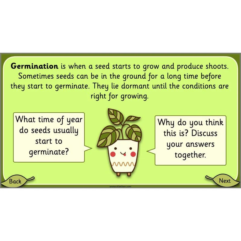 Growing Plants - Image 43