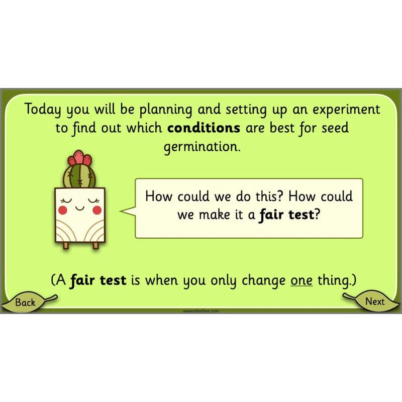 Growing Plants - Image 45