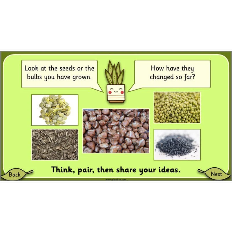Growing Plants - Image 50