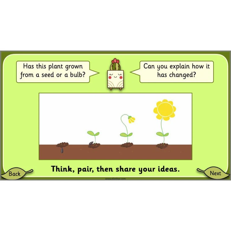 Growing Plants - Image 51