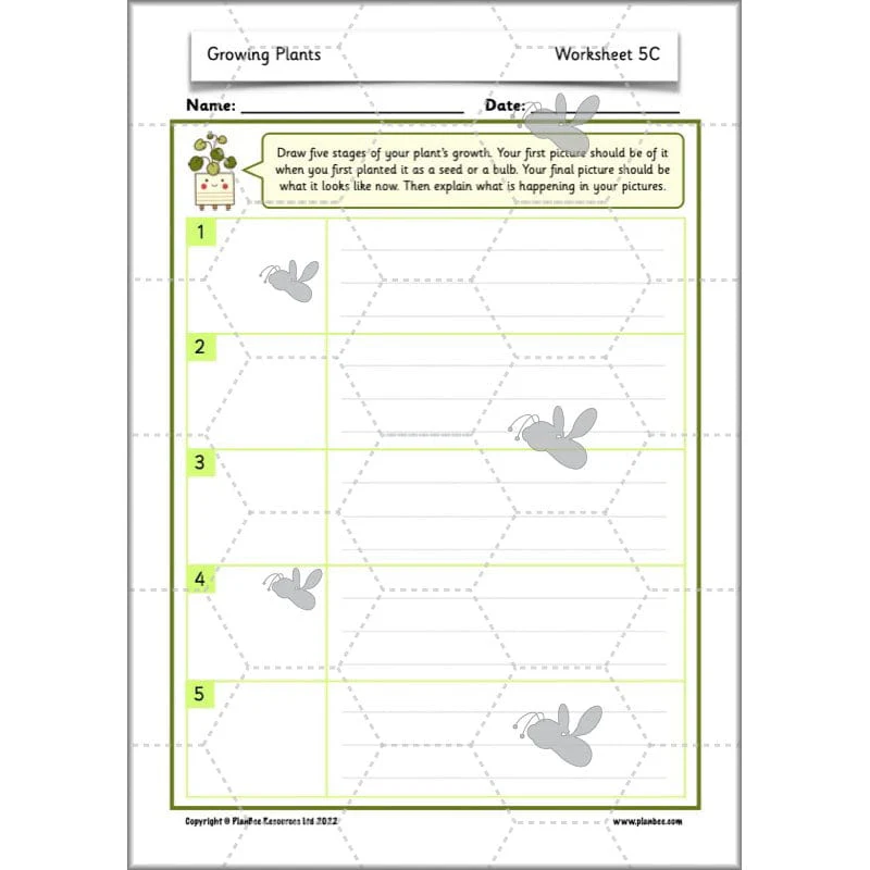 Growing Plants - Image 55
