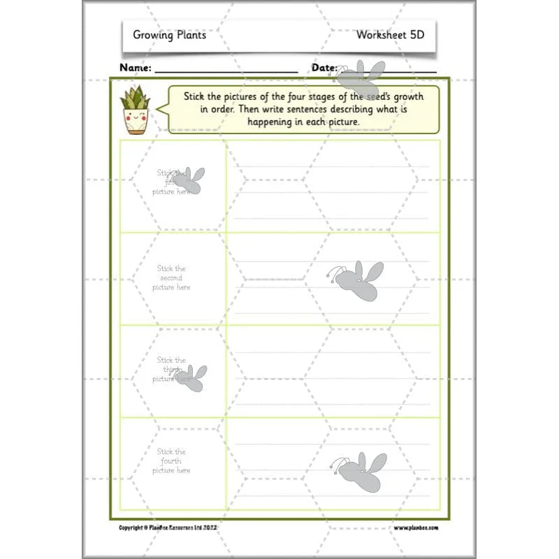 Growing Plants - Image 56