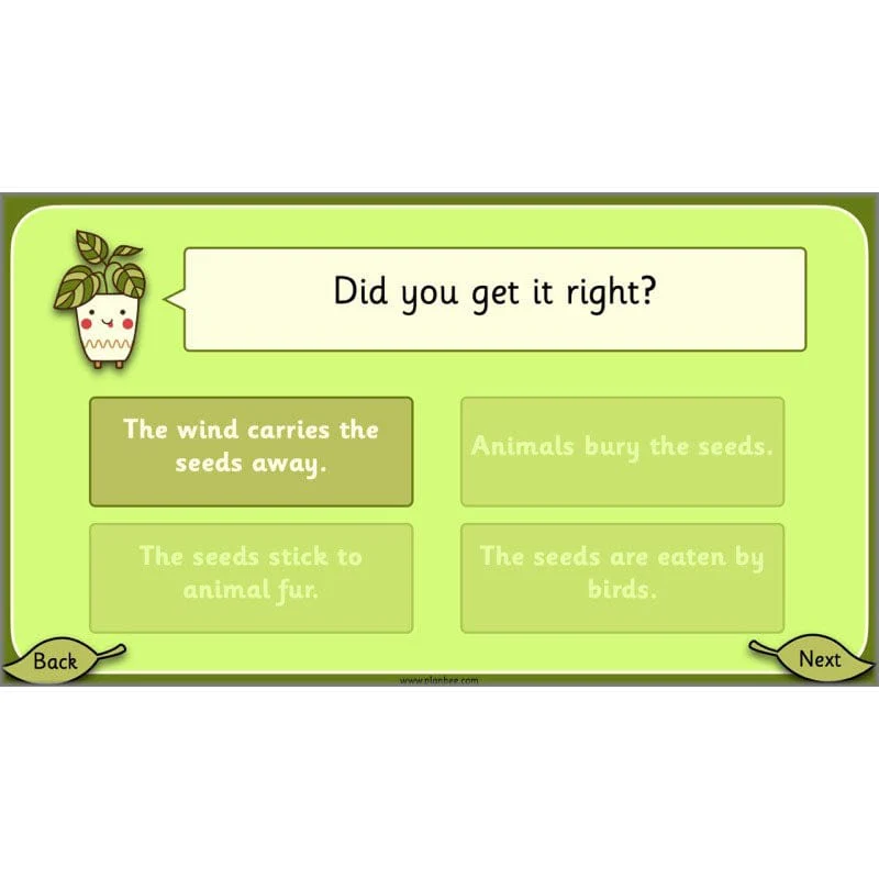 Growing Plants - Image 8