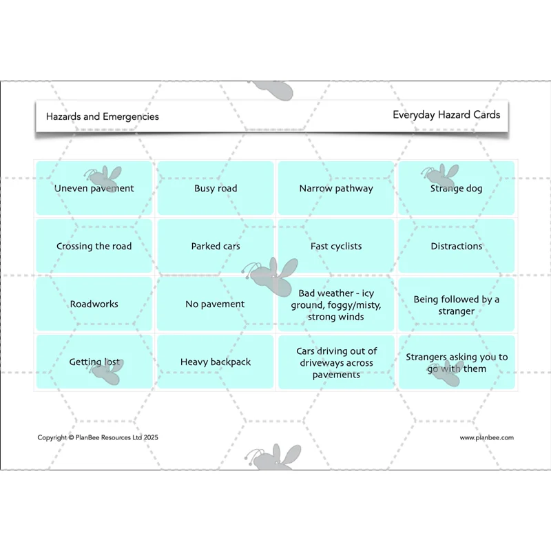 Hazards and Emergencies - Image 27