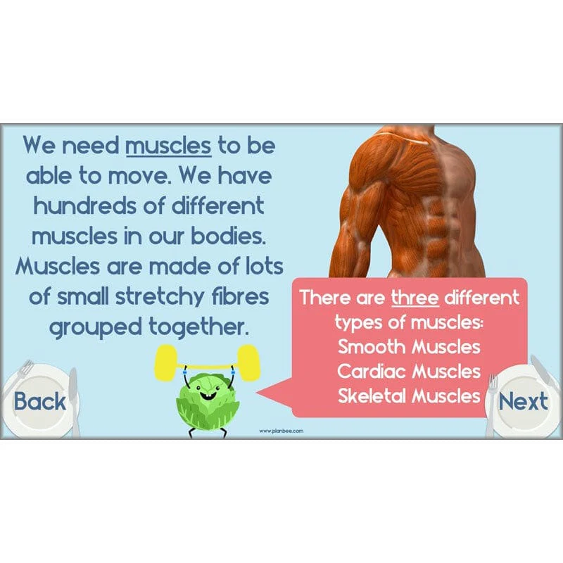 Health and Movement - Image 14