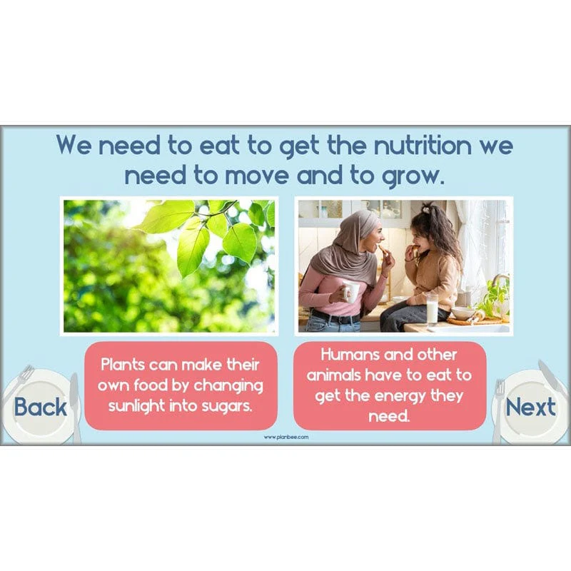 Health and Movement - Image 26