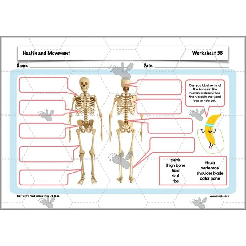 Health and Movement - Image 62