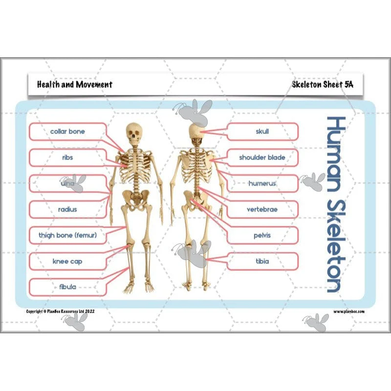 Health and Movement - Image 63