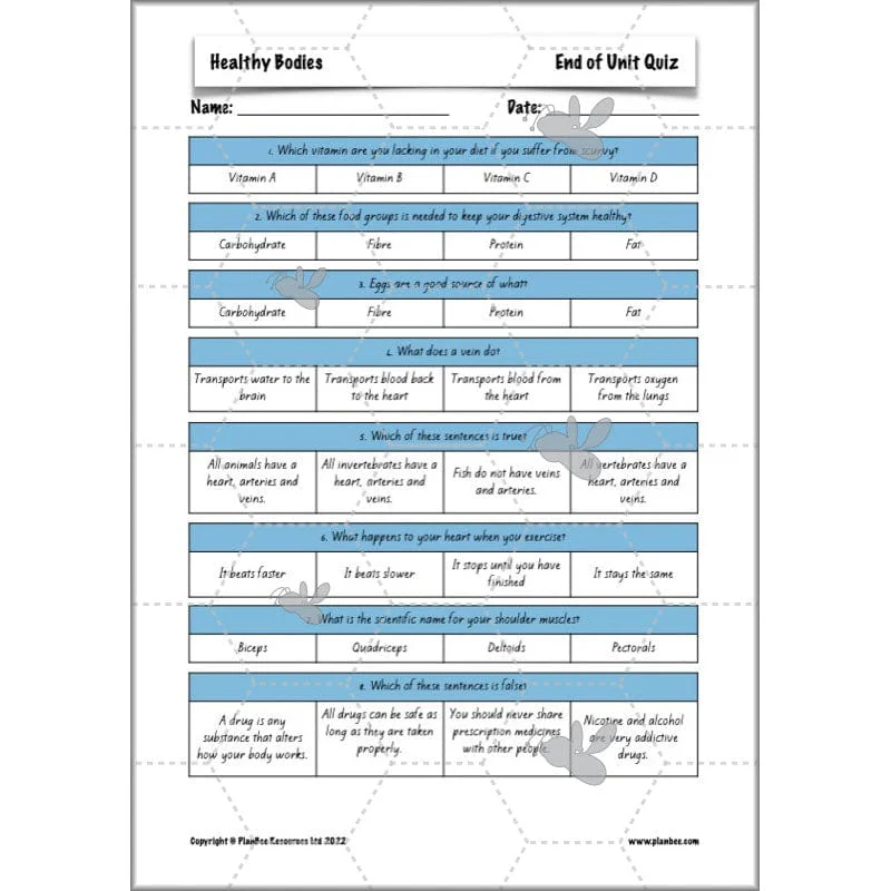 Healthy Bodies - Image 20