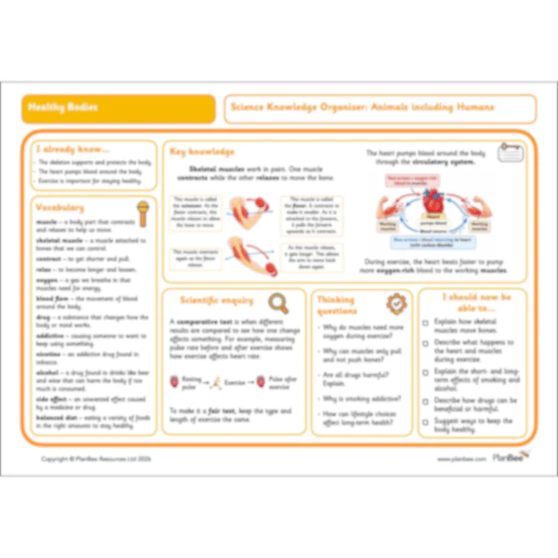 Healthy Bodies - Image 24