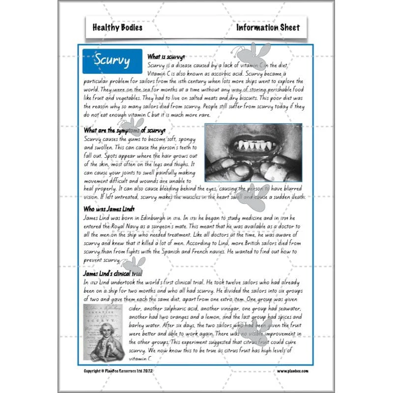 Healthy Bodies - Image 31