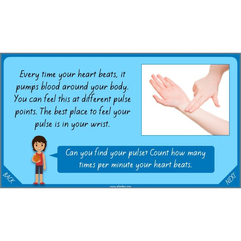 Healthy Bodies - Image 44
