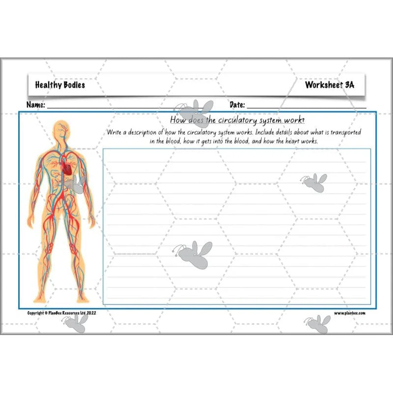 Healthy Bodies - Image 45
