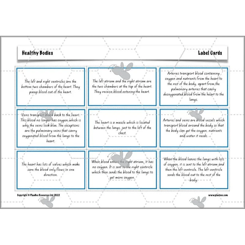 Healthy Bodies - Image 46