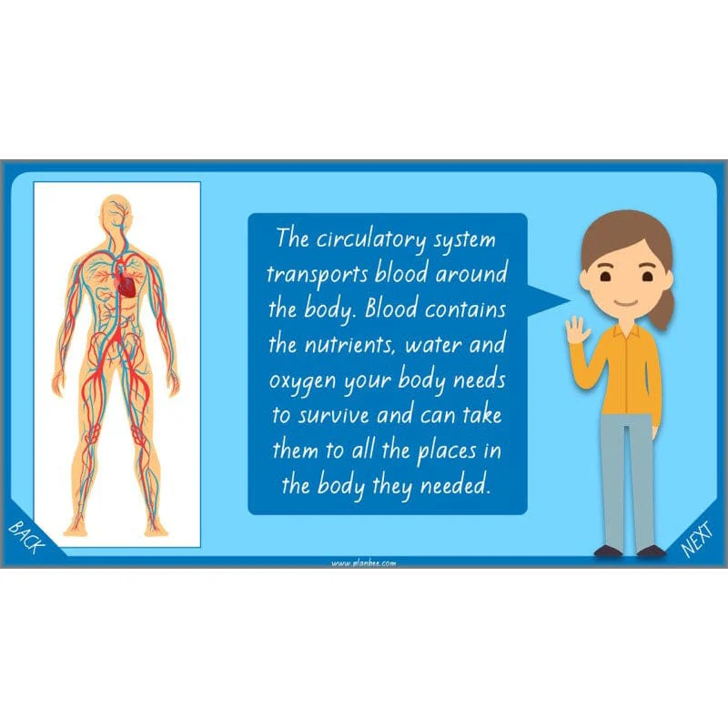Healthy Bodies - Image 50