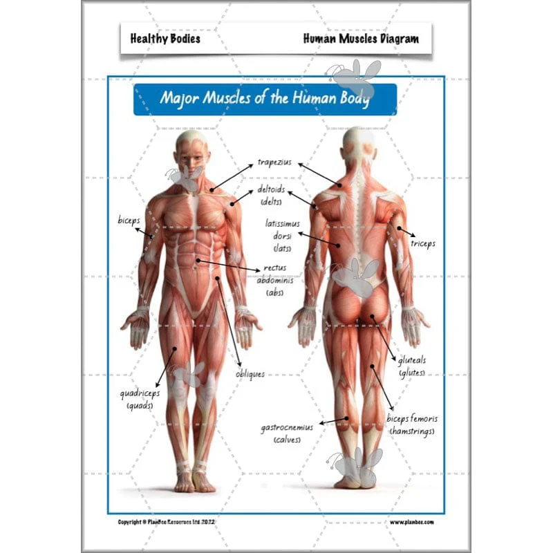 Healthy Bodies - Image 63
