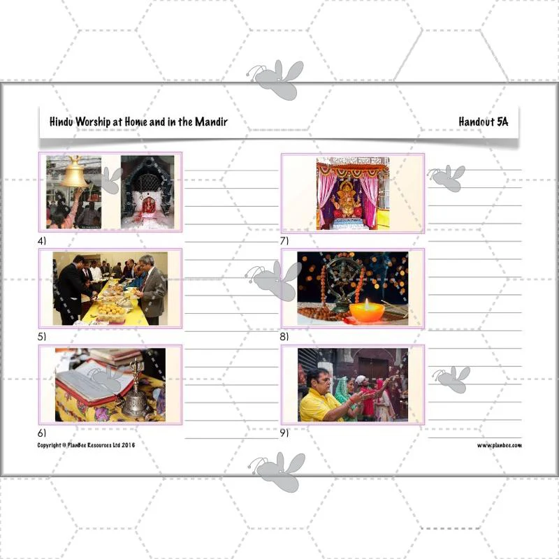 Hindus Home and Mandir - Image 61