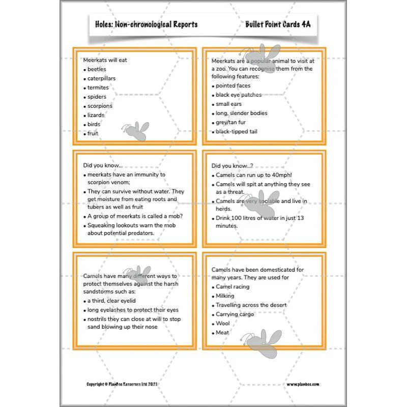 Holes: Non-chronological Reports - Image 12