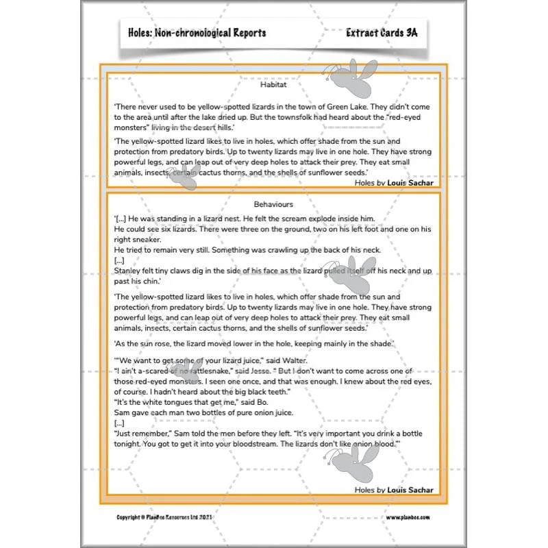 Holes: Non-chronological Reports - Image 39