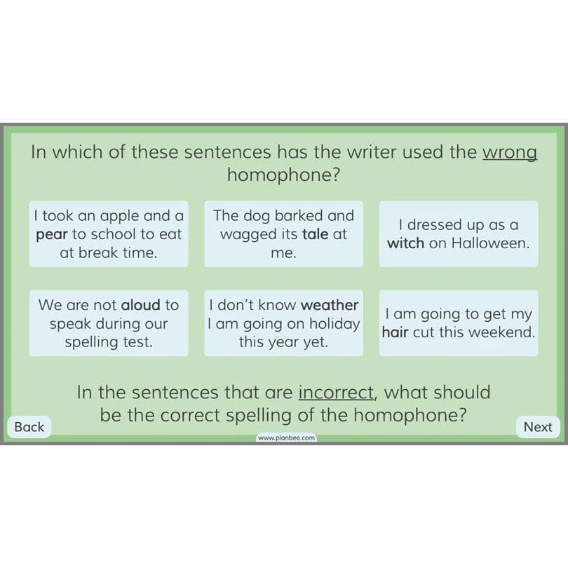 Homophones KS2 - Image 6