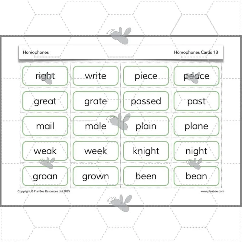 Homophones KS2 - Image 7