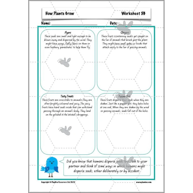 How Plants Grow - Image 15